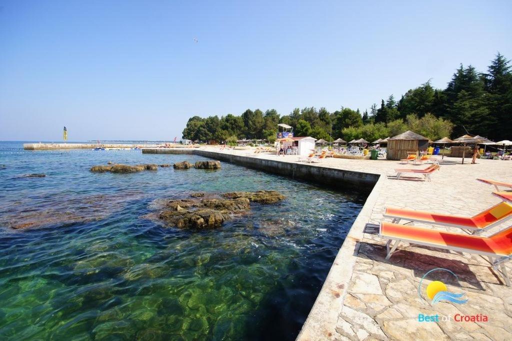 Apartman Maroce *
